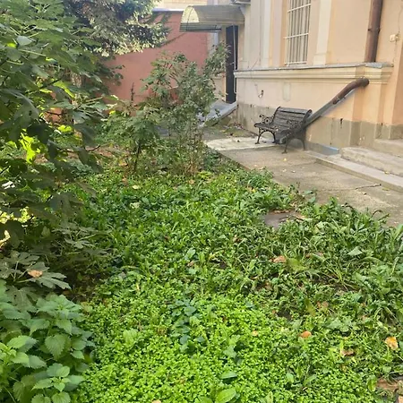 Oeguenc's Homestay szállás *