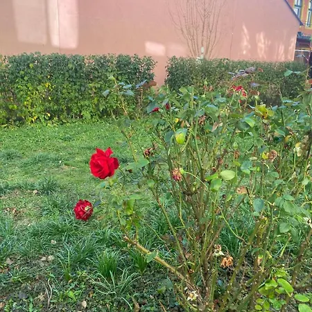 Homestay szállás Oeguenc's