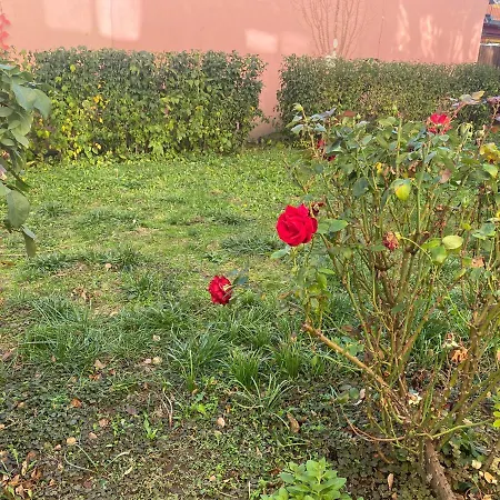 Oeguenc's Homestay Szeged